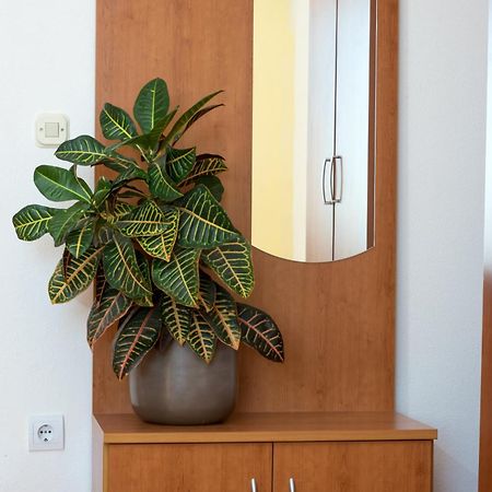 Apartments Vila Adrijana & Fitness Studio Wolf Bv Baška Voda Exteriör bild